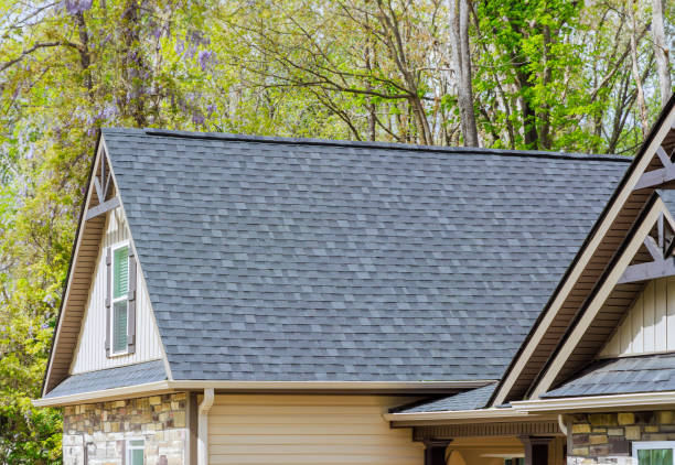 Steel Roofing in Pine Ridge, SC