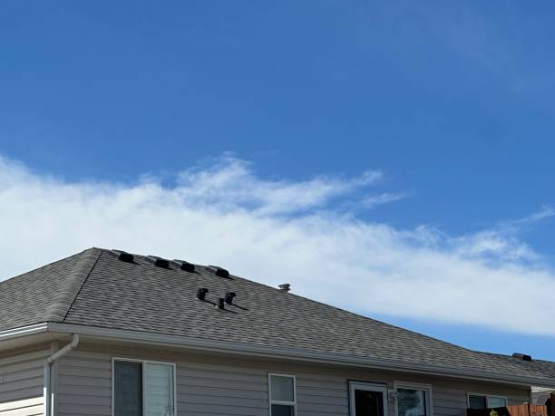 Best Commercial Roofing Services  in Pine Ridge, SC